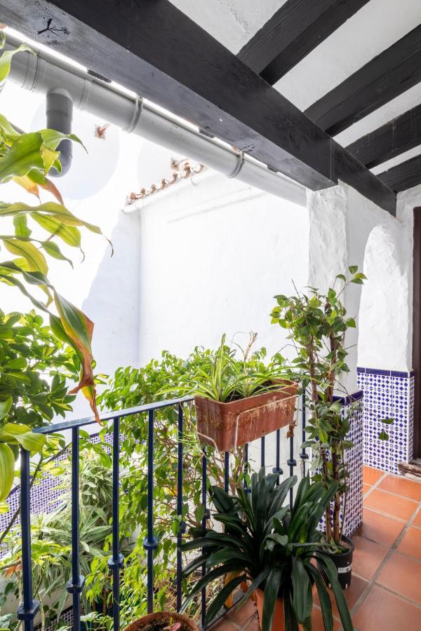 Luxurious Frontline Penthouse In Puerto Banus Lejlighed Marbella Eksteriør billede